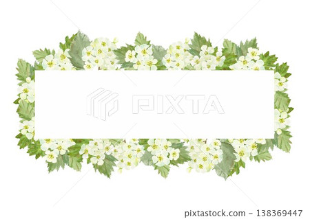 Rectangular horizontal frame with white barberry flowers and leaves. Hand-drawn watercolor illustration on an isolated background. Simple spring clip art with space for text, decoration, and design Rectangular horizontal frame with white barberry flowers and leaves. Hand-drawn watercolor illustration on an isolated background. Simple spring clip art with space for text, decoration, and design 138369447
