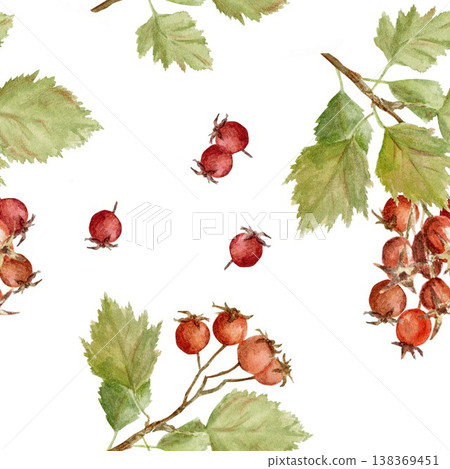 Seamless pattern of red berries and barberry leaves. Hand-drawn watercolor illustration on an isolated background. Clip art for textiles, wrapping paper, and design. Seamless pattern of red berries and barberry leaves. Hand-drawn watercolor illustration on an isolated background. Clip art for textiles, wrapping paper, and design. 138369451
