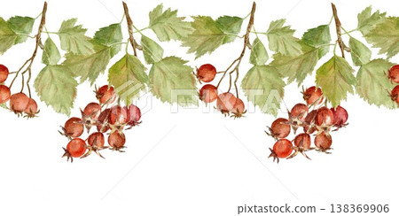 Seamless horizontal border of branches with red berries, white flowers, and barberry leaves. Hand-drawn watercolor illustration on an isolated background. Clip art for textiles, wrapping paper. Seamless horizontal border of branches with red berries, white flowers, and barberry leaves. Hand-drawn watercolor illustration on an isolated background. Clip art for textiles, wrapping paper. 138369906