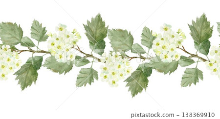 Seamless horizontal border of white barberry branches and leaves. Hand-drawn watercolor illustration on an isolated background. Botanical clip art for textiles, wrapping paper, and design. Seamless horizontal border of white barberry branches and leaves. Hand-drawn watercolor illustration on an isolated background. Botanical clip art for textiles, wrapping paper, and design. 138369910