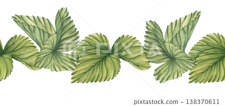 Seamless border of leaves . A horizontal pattern of green leaves strawberries. A watercolor seamless illustration of foliage strawberries for label tea, jam, cosmetic 138370611