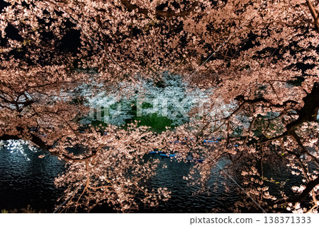Night Cherry Blossoms ~Tokyo, Chidorigafuchi, 15~ Night Cherry Blossoms ~Tokyo, Chidorigafuchi, 15~ 138371333