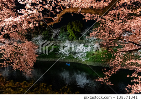 夜櫻~東京,千鳥淵,第八章~ 夜櫻~東京,千鳥淵,第八章~ 138371341
