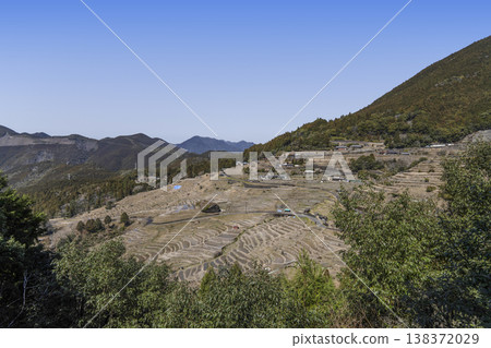 丸山千枚田（3月中旬） 138372029