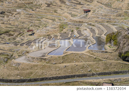 丸山千枚田(3月中旬) 丸山千枚田(3月中旬) 138372034