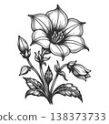 Blooming Flower With Buds Botanical Line vector 138373733