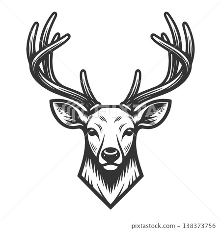 Deer Head With Antlers sketch vector illustration Deer Head With Antlers sketch vector illustration 138373756