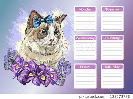 Ragdoll cat with flowers printable planner and school schedule vector Ragdoll cat with flowers printable planner and school schedule vector 138373788