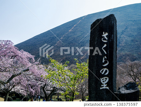 Sakura no Sato Sakura no Sato 138375597