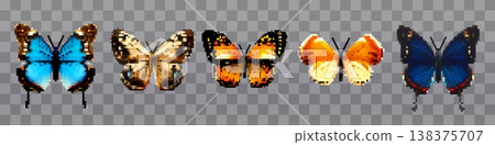 Pixel art butterfly halftone illustration Vector retro design Pixel art butterfly halftone illustration Vector retro design 138375707
