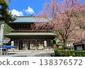 Weeping cherry tree and Sanmon gate 138376572