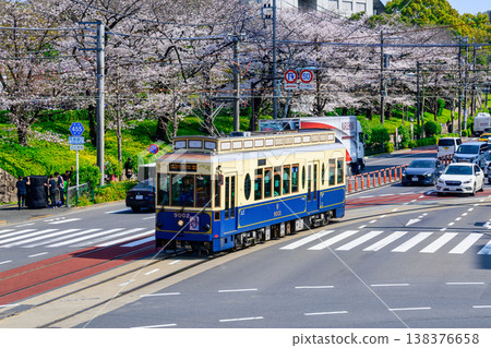 Tokyo Sakura Tram Sakura Train (car number 9002) and the cherry blossoms in full bloom at Asukayama Park - Seasonal operation only Tokyo Sakura Tram Sakura Train (car number 9002) and the cherry blossoms in full bloom at Asukayama Park - Seasonal operation only 138376658