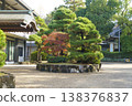 Serene traditional Japanese garden featuring sculpted pine trees, colorful autumn maple, and stone masonry. Historic temple architecture with elegant curved eaves over a gravel courtyard. 138376837