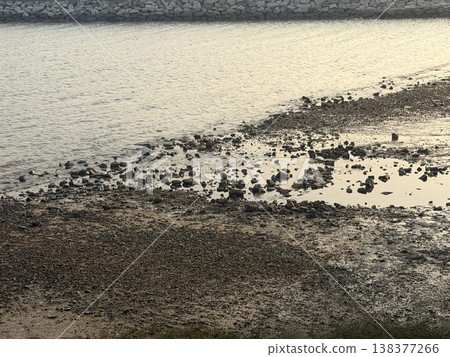 Rocky shoreline at low tide with calm water reflecting the golden hour light 138377266