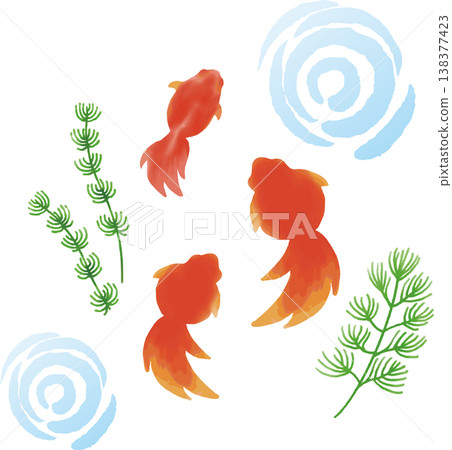 Watercolor-style illustration of goldfish and aquatic plants in summer - perfect for summer greetings and late summer greetings. Watercolor-style illustration of goldfish and aquatic plants in summer - perfect for summer greetings and late summer greetings. 138377423