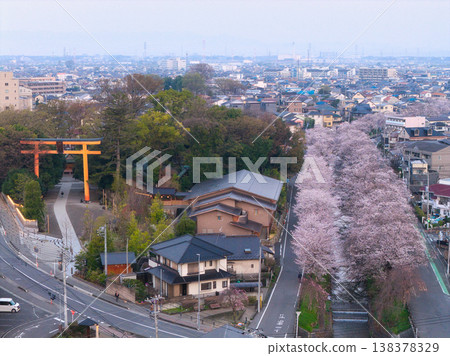埼玉縣川越市新石川和冰河神社沿岸的櫻花盛開(無人機空拍照片) 埼玉縣川越市新石川和冰河神社沿岸的櫻花盛開(無人機空拍照片) 138378329