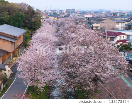 埼玉縣川越市新石川沿岸的櫻花盛開(無人機空拍照片) 埼玉縣川越市新石川沿岸的櫻花盛開(無人機空拍照片) 138378334