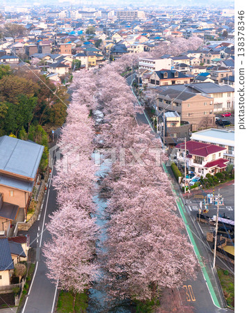 Cherry blossom trees in full bloom along the Shingashi River in Kawagoe City, Saitama Prefecture (aerial photograph taken by drone) Cherry blossom trees in full bloom along the Shingashi River in Kawagoe City, Saitama Prefecture (aerial photograph taken by drone) 138378346