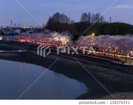 川越市夜景及埼玉縣川越市伊佐沼湖盛開的櫻花(無人機空拍) 川越市夜景及埼玉縣川越市伊佐沼湖盛開的櫻花(無人機空拍) 138378351