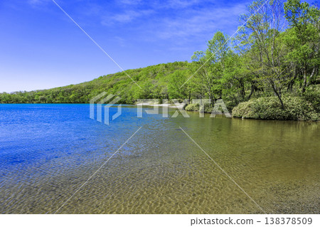 Fresh green and blue lake Fresh green and blue lake 138378509