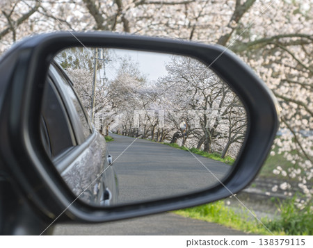 The lingering feeling of spring. A tunnel of cherry blossoms reflected in the side mirror. 138379115