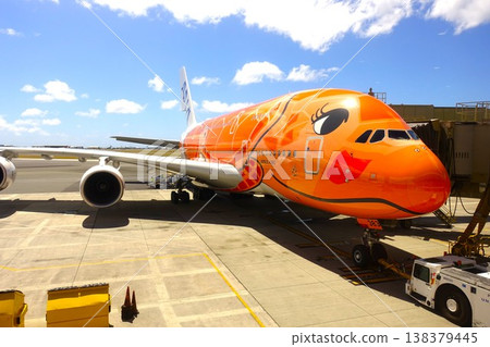 Flying Honu parked at an airport in Hawaii Flying Honu parked at an airport in Hawaii 138379445