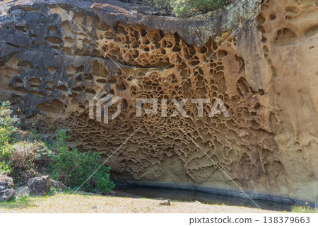 Wakayama Prefecture: Beehive wall and puddle [Tafoni] Nachikatsuura Town 138379663