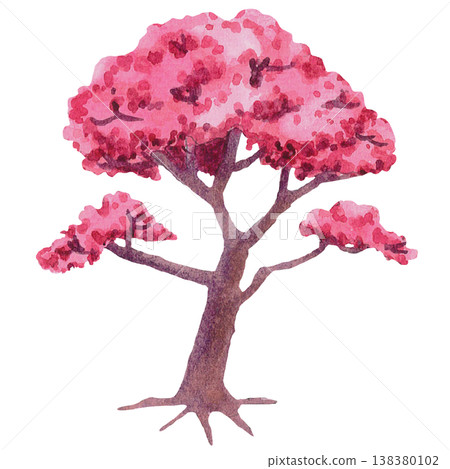 Full Sakura Blossom Tree Illustration Full Sakura Blossom Tree Illustration 138380102
