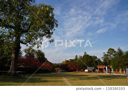 上賀茂神社馬術場的秋景 上賀茂神社馬術場的秋景 138380103