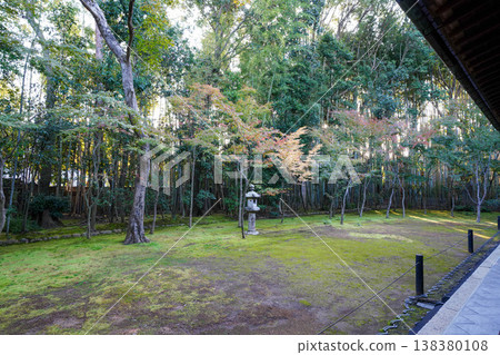 The moss-covered garden of Kotoin Temple in Daitoku-ji, Kyoto. The moss-covered garden of Kotoin Temple in Daitoku-ji, Kyoto. 138380108