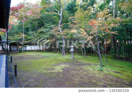 京都大德寺古銅院長滿青苔的庭園。 京都大德寺古銅院長滿青苔的庭園。 138380109