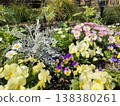 Yellow, pink, and white flowers 138380261