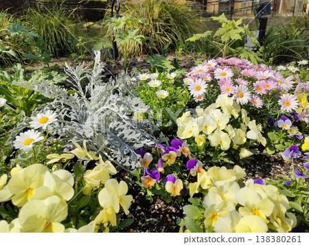 Yellow, pink, and white flowers 138380261