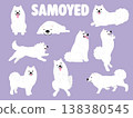 Samoyed dog cartoon illustration set 138380545