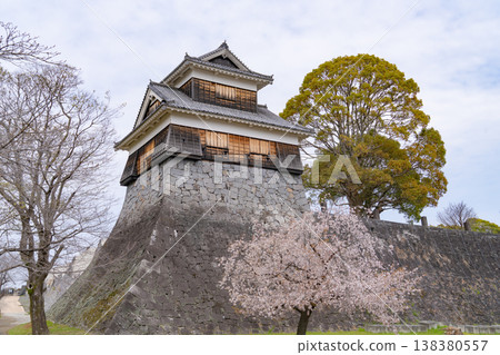 熊本城、羊猿塔樓和盛開的櫻花。 熊本城、羊猿塔樓和盛開的櫻花。 138380557
