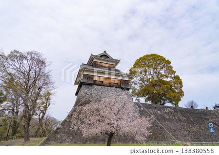 熊本城的羊猿塔樓矗立在藍天之下，周圍環繞著春意盎然的景色。 138380558