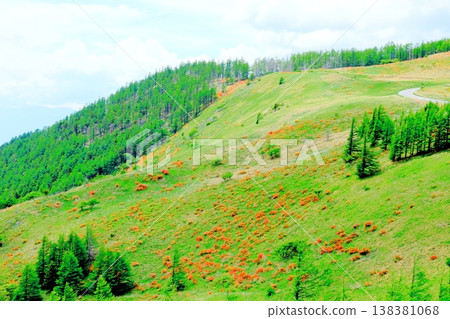 Utsukushigahara Plateau in June: Scenery around Takeshi Peak; Shinshu landscape Utsukushigahara Plateau in June: Scenery around Takeshi Peak; Shinshu landscape 138381068