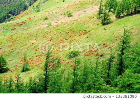 Utsukushigahara Plateau in June: Scenery around Takeshi Peak; Shinshu landscape Utsukushigahara Plateau in June: Scenery around Takeshi Peak; Shinshu landscape 138381090