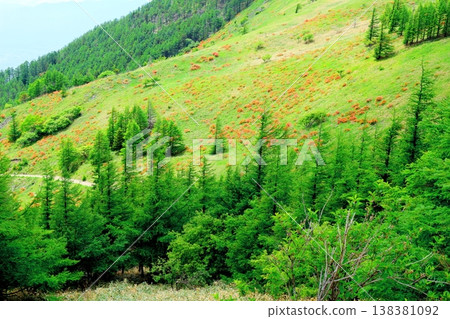 六月的美之原高原:武峰週邊景色;信州風光 六月的美之原高原:武峰週邊景色;信州風光 138381092