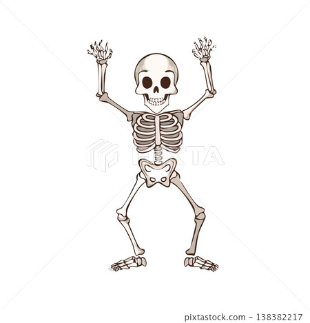 A dynamic skeleton, a cute illustration of a skeleton A dynamic skeleton, a cute illustration of a skeleton 138382217