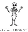 A dynamic skeleton, a cute illustration of a skeleton 138382220