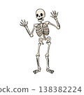 A dynamic skeleton, a cute illustration of a skeleton 138382224