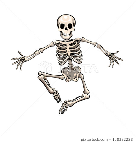 A dynamic skeleton, a cute illustration of a skeleton A dynamic skeleton, a cute illustration of a skeleton 138382228