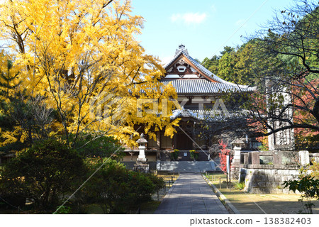 Autumn leaves at Sainenji Temple, 2025-11-16, #16 Autumn leaves at Sainenji Temple, 2025-11-16, #16 138382403