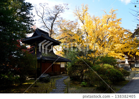 Autumn leaves at Sainenji Temple, 2025-11-16, #18 Autumn leaves at Sainenji Temple, 2025-11-16, #18 138382405