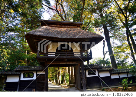 西念寺的秋葉,2025-11-16,#19 西念寺的秋葉,2025-11-16,#19 138382406