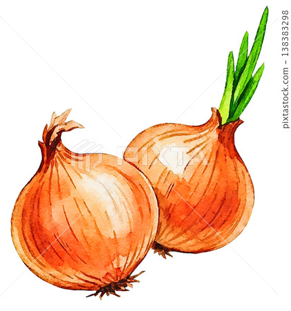 Hand-painted watercolor vegetable recipe menu cooking class 138383298