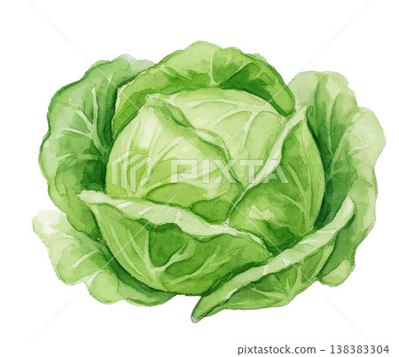 Hand-painted watercolor vegetable recipe menu cooking class 138383304