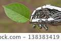 Shiny silver metallic robot hand holding fresh green leaf covered water drops artificial intelligence nature ecology environment protection future technology sustainability concept 138383419