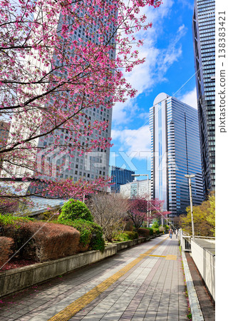 Shinjuku subcenter in spring, buildings and sakura 138383421